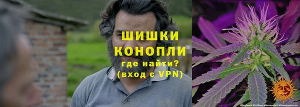 твердый Аркадак