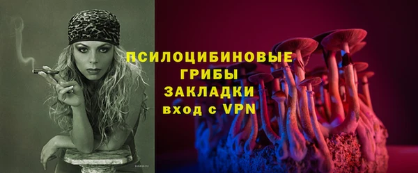 твердый Аркадак