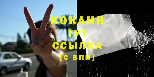 твердый Аркадак