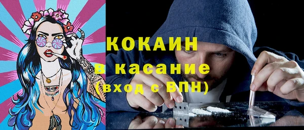 твердый Аркадак