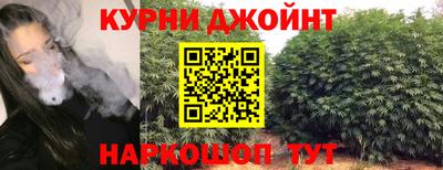 амф Дубна