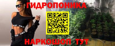 амф Дубна